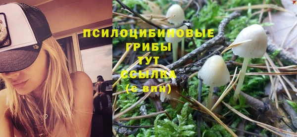 дурь Дмитров